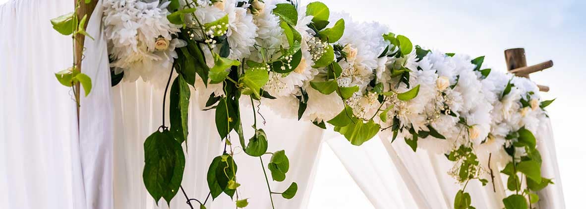 Expatriate Wedding Planner