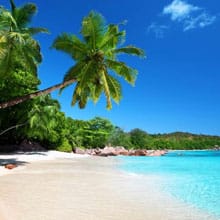Seychelles Info